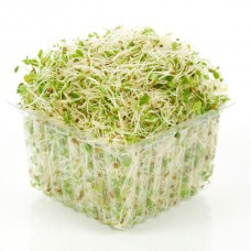 ALFALFA  PUNNET 125GM