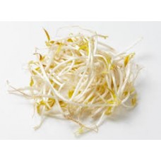 BEAN SHOOTS  per kilo