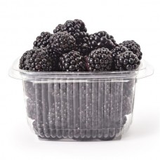 BLACKBERRIES PUNNET