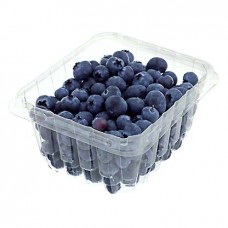 BLUEBERRIES PUNNET