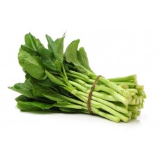 BROCCOLLI CHINESE BUNCH