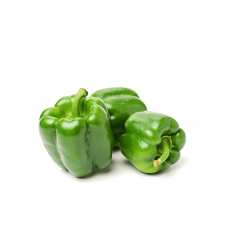 CAPSICUM GREEN 