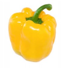 CAPSICUM YELLOW 