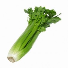 CELERY BUNCH