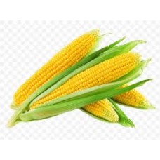 CORN SWEET HUSK ON