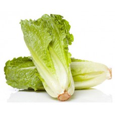 LETTUCE COS EA
