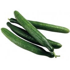 CUCUMBER CONTINENTAL 