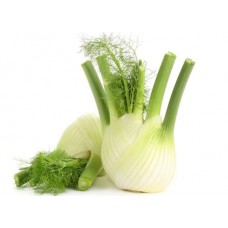 FENNEL BABY