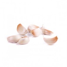 GARLIC BULBS PURPLE EA
