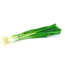 ONIONS SPRING BUNCH