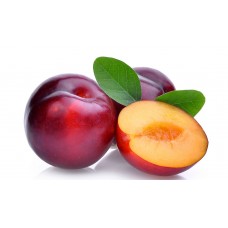 PLUMS KG