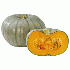PUMPKIN BLUE KG