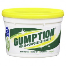 GUMPTION PASTE CLEANER TUB 500GM Pack Size: 12