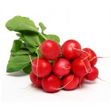 RADISH  RED  BUNCH