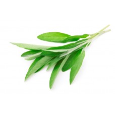 SAGE  BUNCH