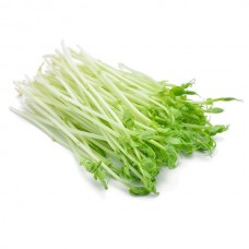 SNOW PEA SPROUTS PUNNET   100GM APPROX