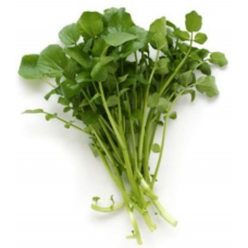 WATERCRESS