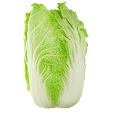 CABBAGE CHINESE WOMBOK 